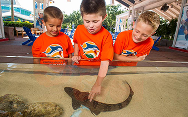 Ocean Detectives Camp at SeaWorld Orlando