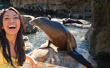 Three for 10 animal feeding stations