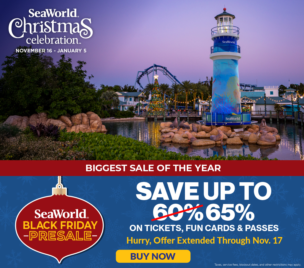 Black Friday Presale