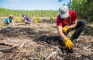 Wildlife Conservation | SeaWorld Orlando