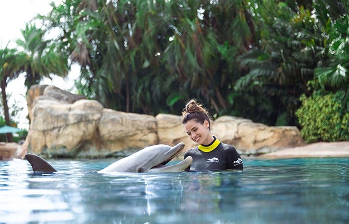 Swim with a dolphin at Discovery Cove Orlando