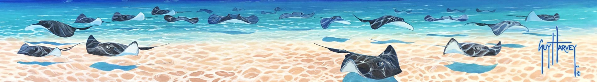 Guy Harvey Painting