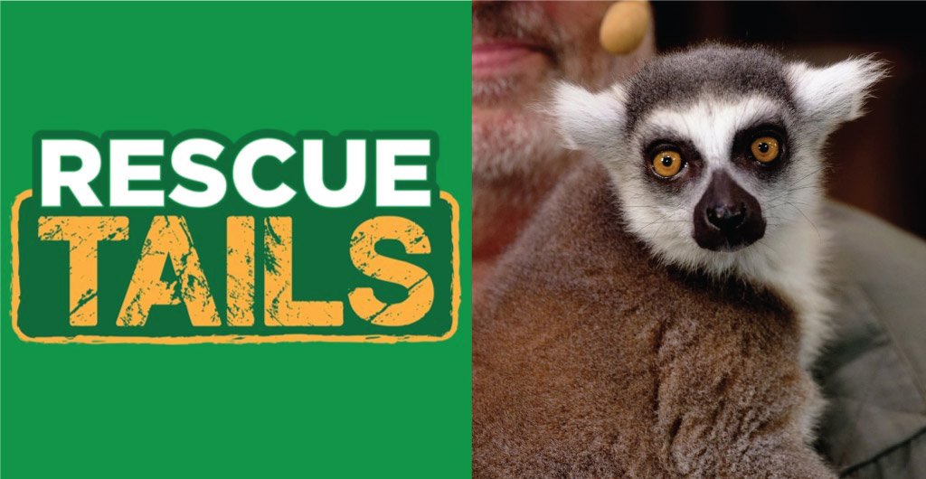 Rescue Tails at SeaWorld Orlando
