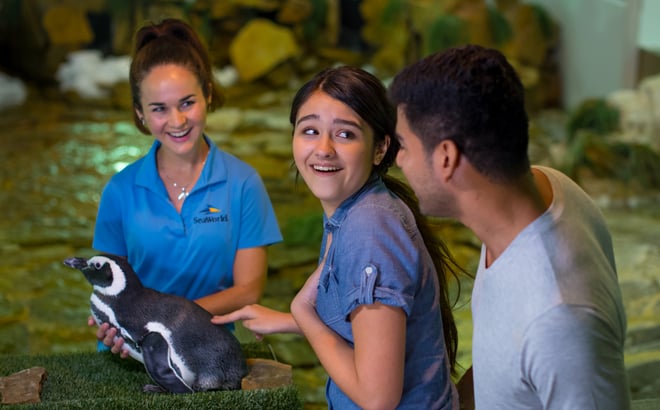 Penguin Encounter Tour at SeaWorld Orlando