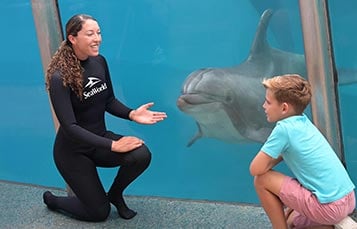 Boy with Dolphin Animal Specialist