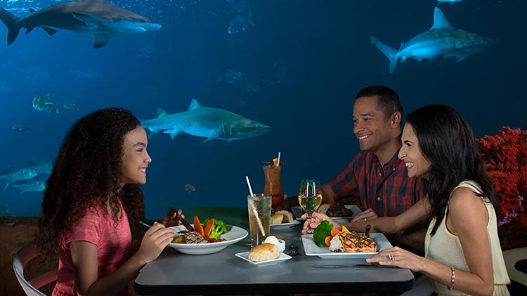 Family at Sharks Underwater Grill at SeaWorld Orlando