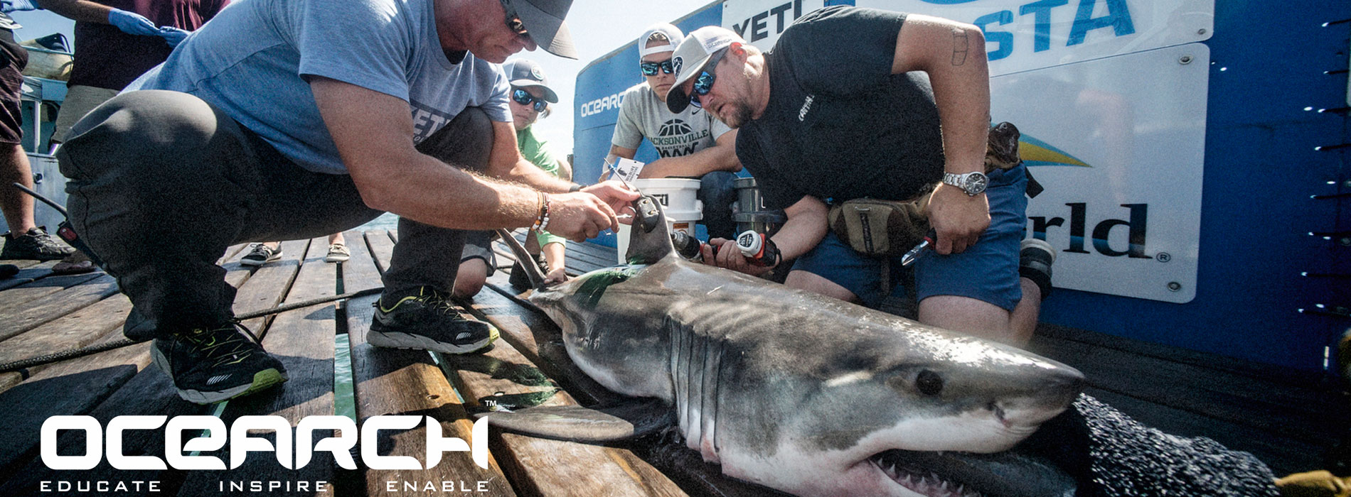 OCEARCH