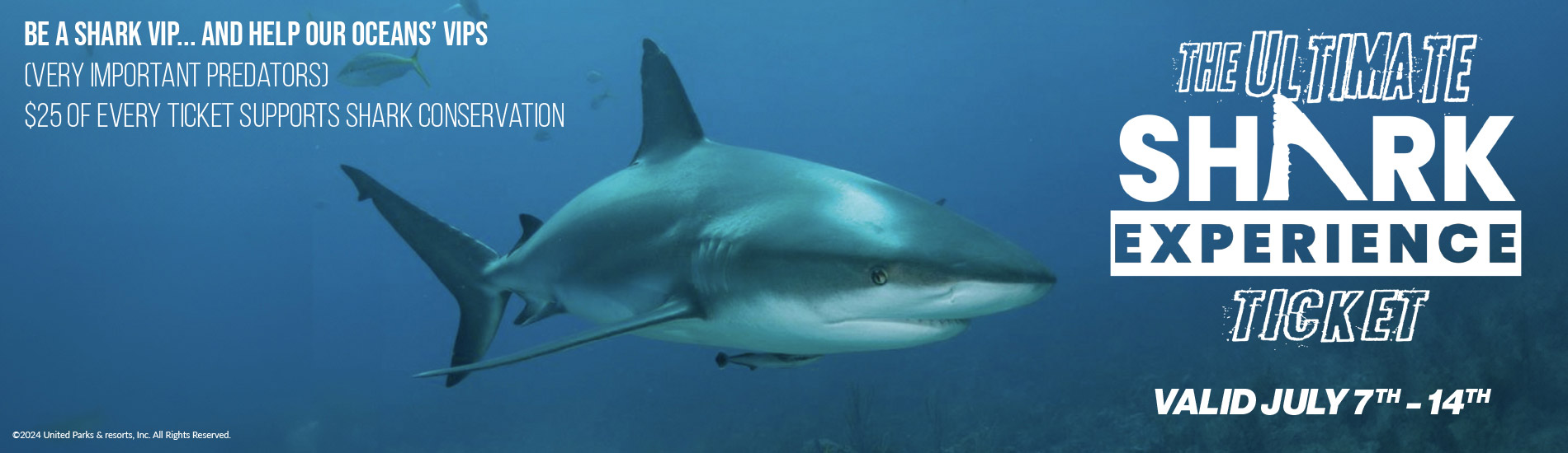 The Ultimate Shark Experience Ticket