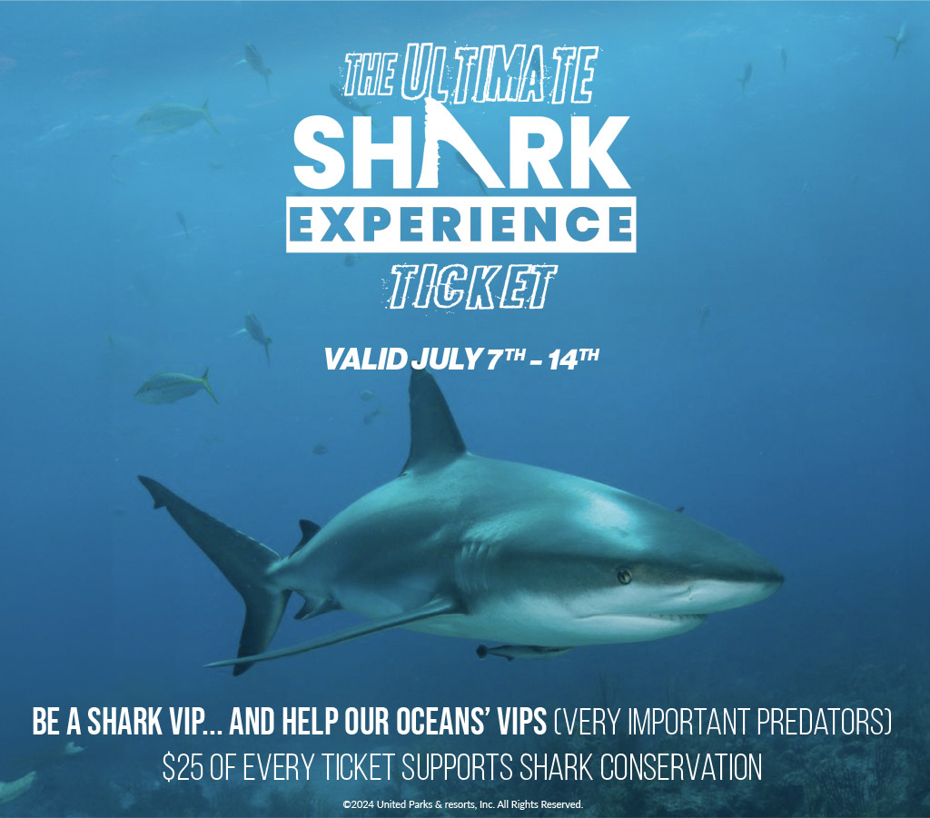 The Ultimate Shark Experience Ticket