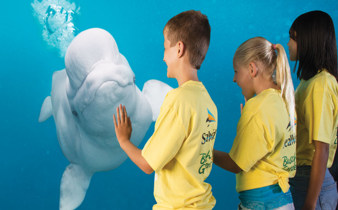 kids with beluga whale.