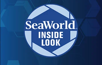 SeaWorld Inside Look.