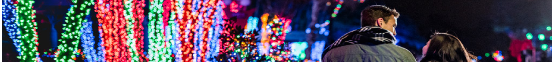 banner for 12 days of christmas