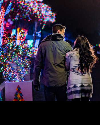 Christmas Event Hero for SWT.