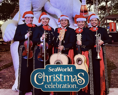 Merry Mariachi.