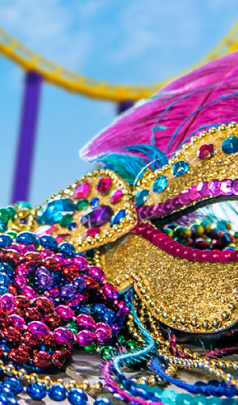 Mardi Gras accessories 