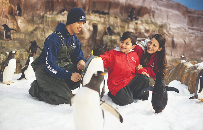 SeaWorld San Antonio