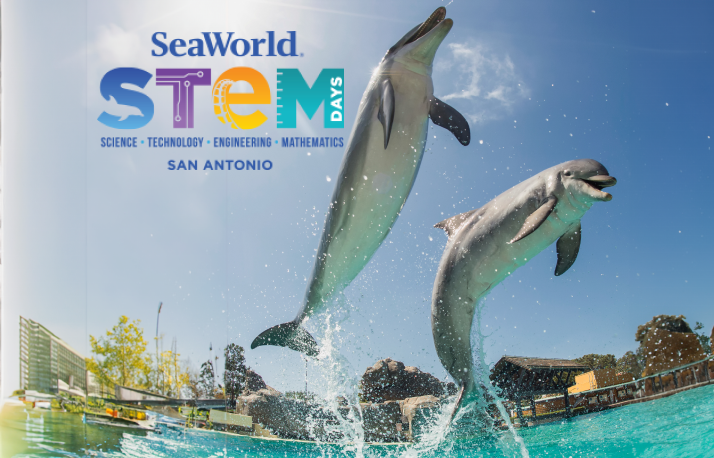 stem day swt youth program