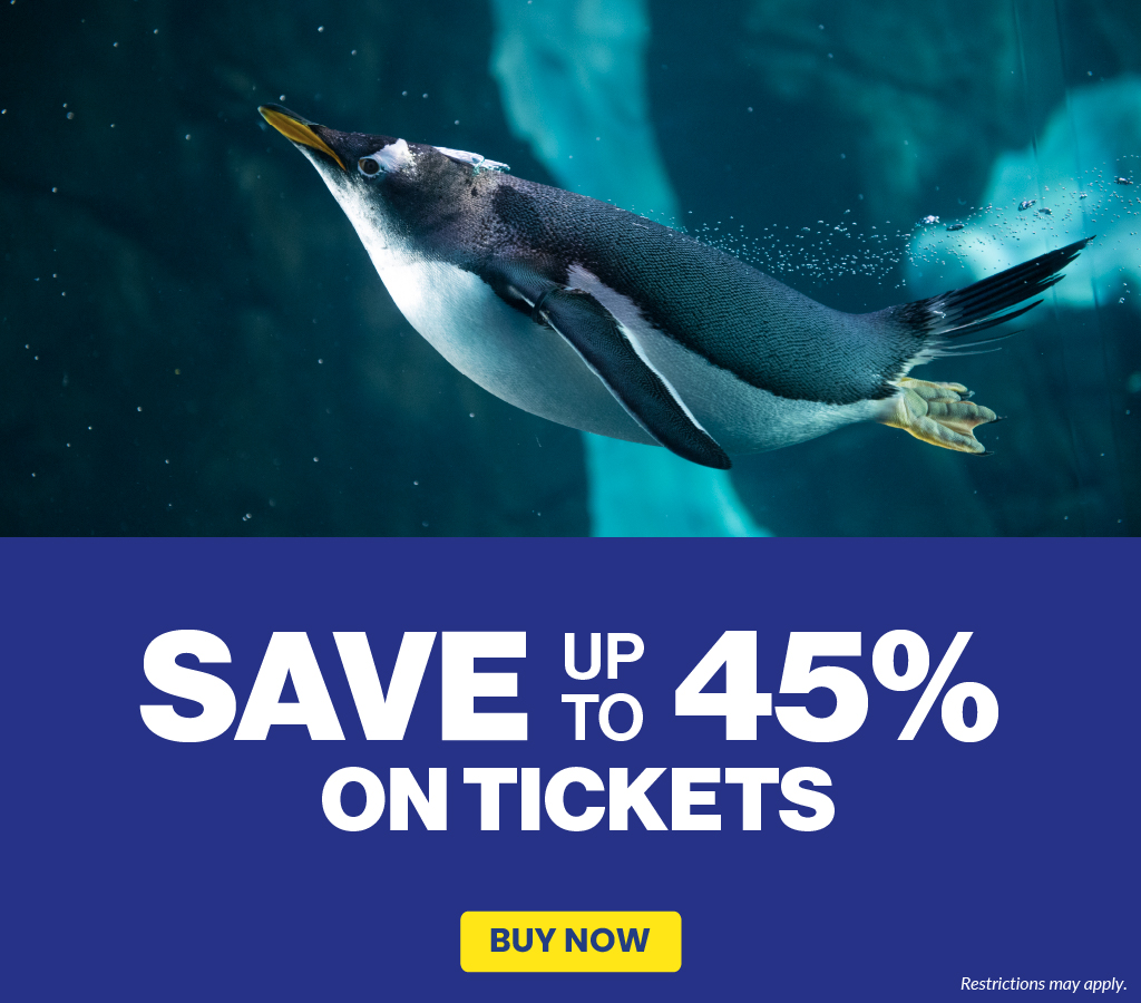 Save up to 45% on tickets