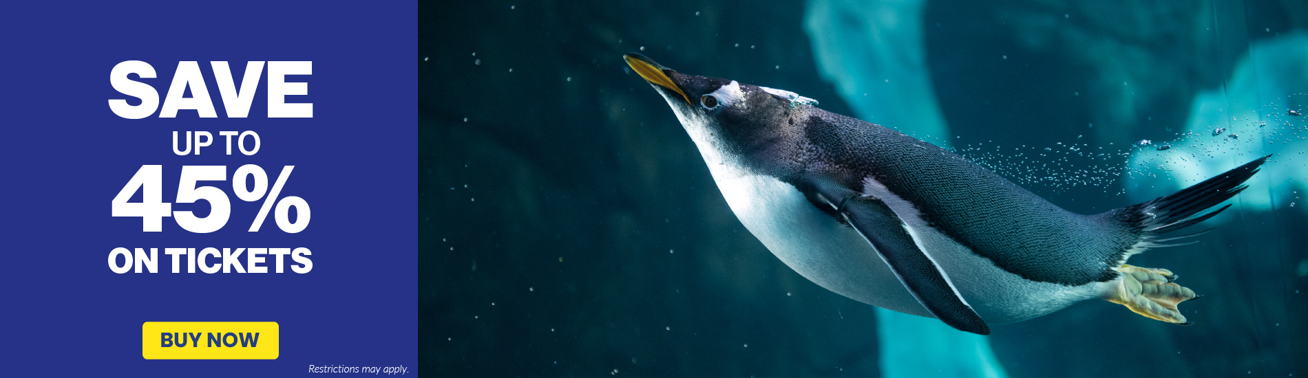 Save up to 45% on tickets