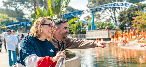 veterans ticket page image.