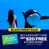 black friday giftcard