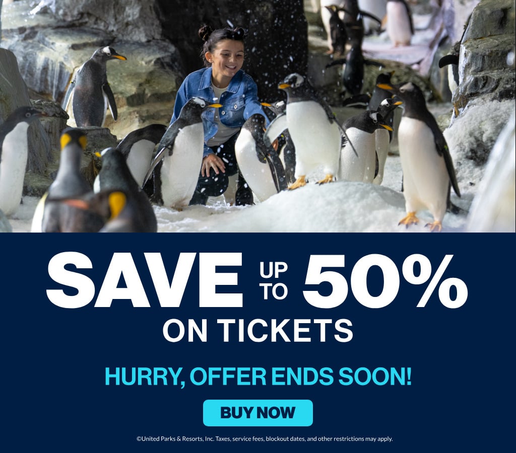 Save up to 50% on Tickets