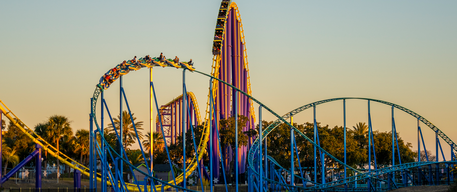 roller coaster.