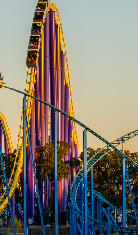 roller coaster.