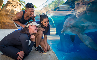 family at seaworld