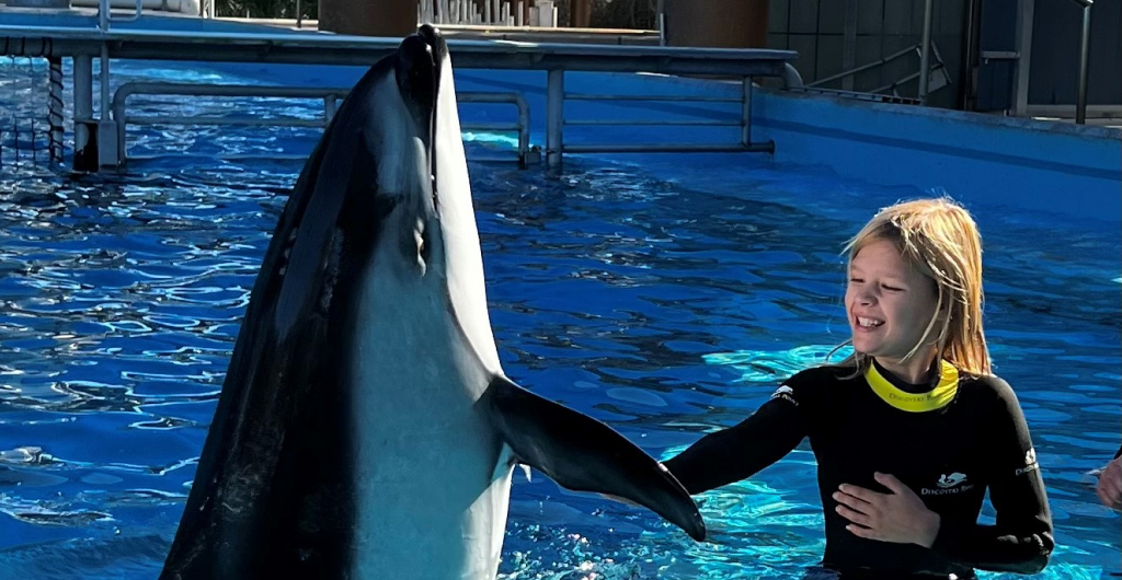 Guest having a Dolphin interaction at SeaWorld San Antonio.