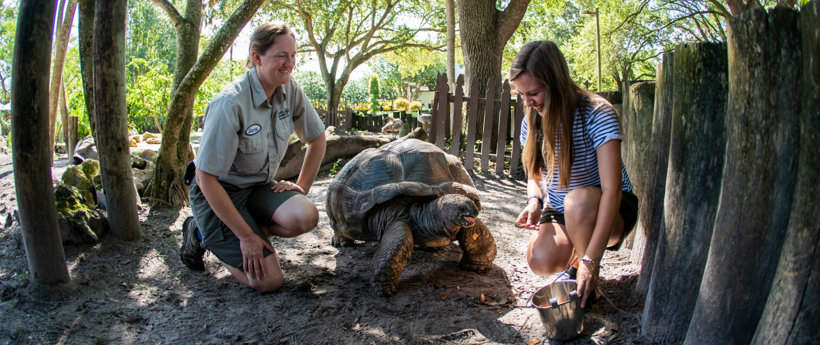 Aldabra Turtle talks during Inside Look at SeaWorld San Antonio.