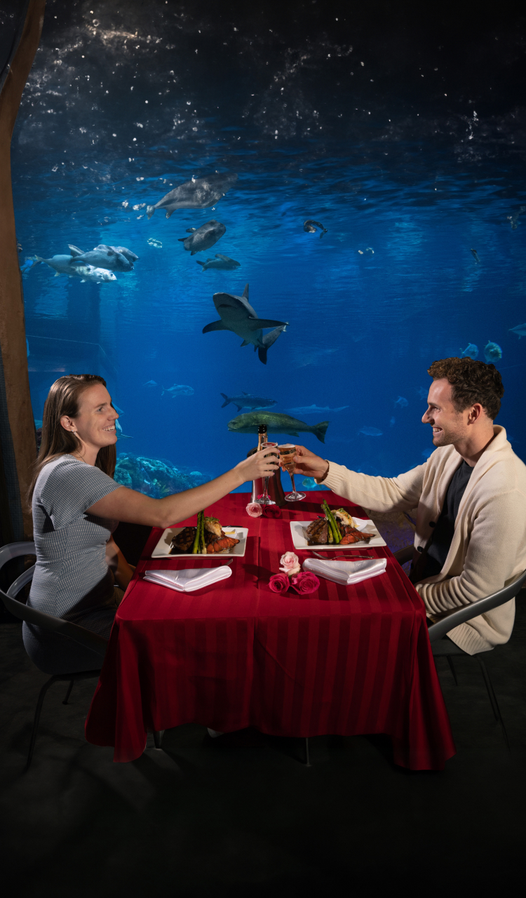 Couple enjoying a Valentine's Day Dining experience with Sharks at SeaWorld San Antonio.