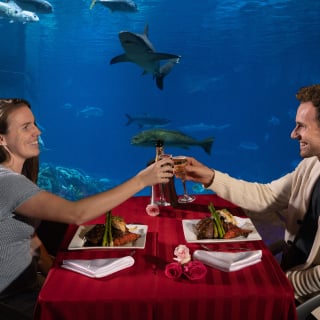 Couple enjoying a Valentine's Day Dining experience with Sharks at SeaWorld San Antonio.