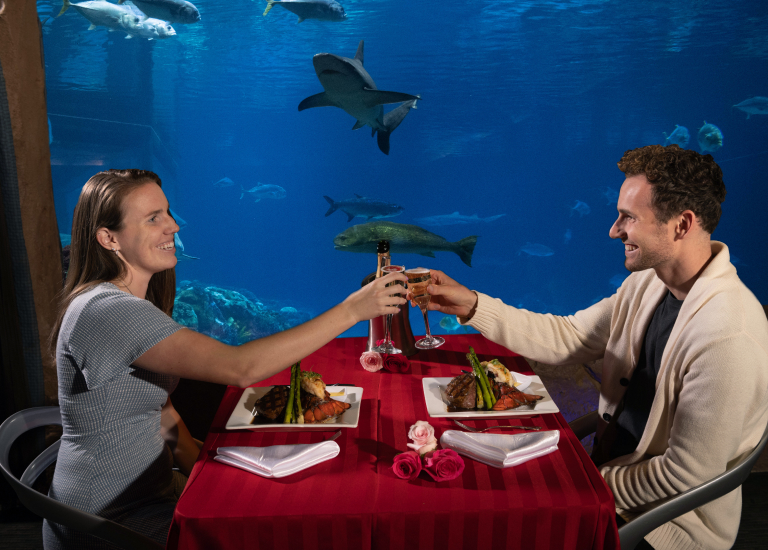 Couple enjoying a Valentine's Day Dining experience with Sharks at SeaWorld San Antonio.