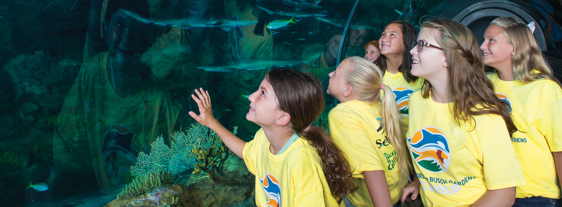 SeaWorld Campers with a Shark