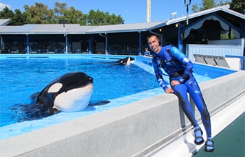 Students can interact with SeaWorld trainers during live video calls.
