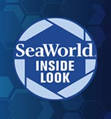 SeaWorld Inside Look