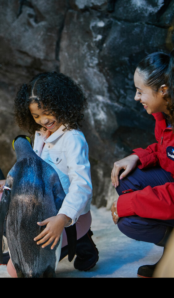 Girl meeting and petting a penguin