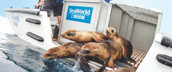 SeaWorld Rescue Team