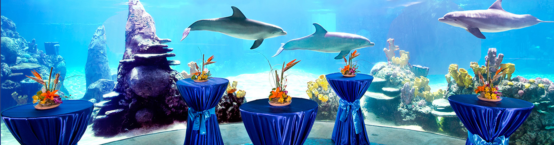 Group events at seaworld san antonio