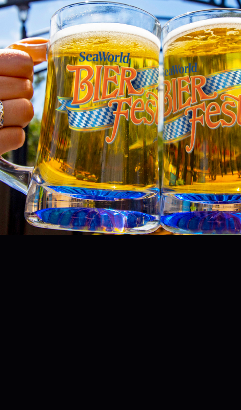 Beer fest at seawolrd.