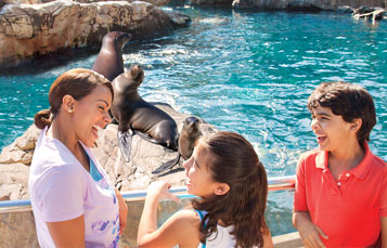 Pacific Point Preserve