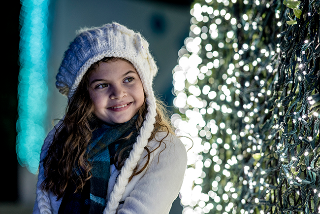 SeaWorld San Antonio Christmas Celebration