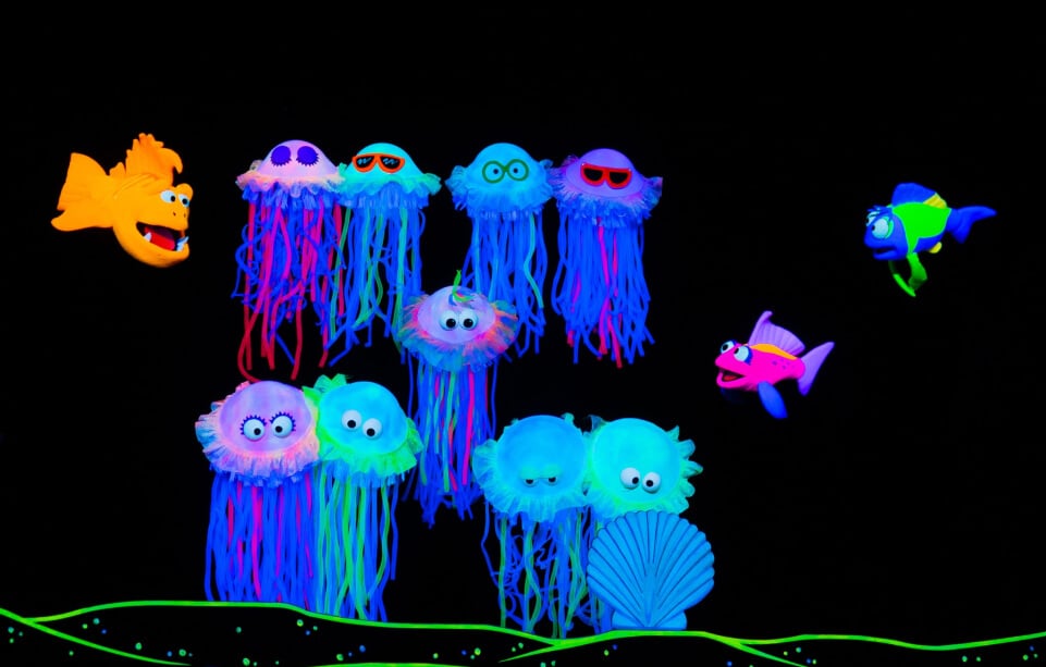 ImaginOcean show at SeaWorld San Antonio