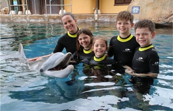 Dip at SeaWorld San Antonio