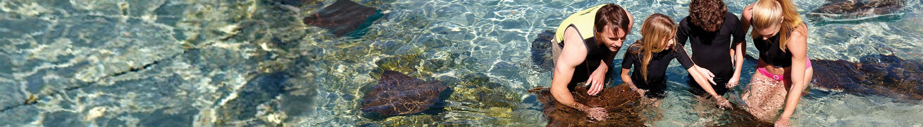 SeaWorld San Antonio All Swim with animals