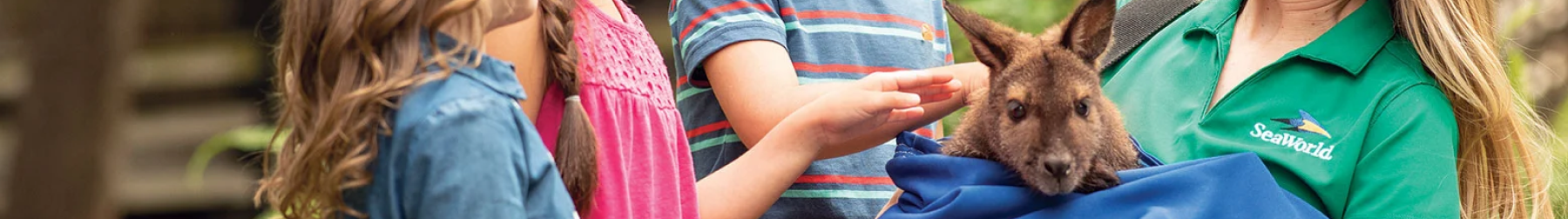 SeaWorld San Antonio Animal Ambassador Tour