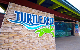 Turtle Reef at SeaWorld San Antonio