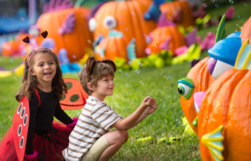 Pumpkin Patch Picnic