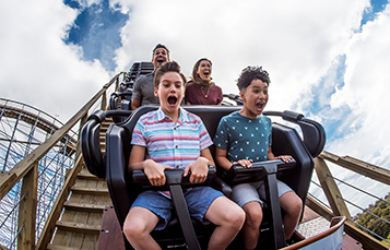 Texas Stingray at SeaWorld San Antonio